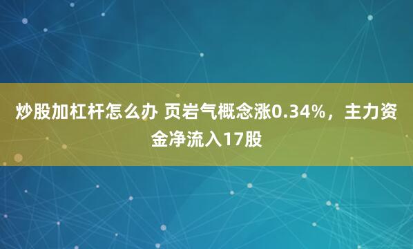 炒股加杠杆怎么办 页岩气概念涨0.34%，主力资金净流入17股