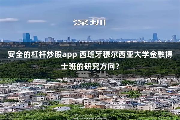 安全的杠杆炒股app 西班牙穆尔西亚大学金融博士班的研究方向？