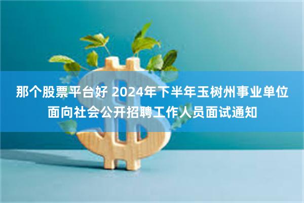 那个股票平台好 2024年下半年玉树州事业单位面向社会公开招聘工作人员面试通知