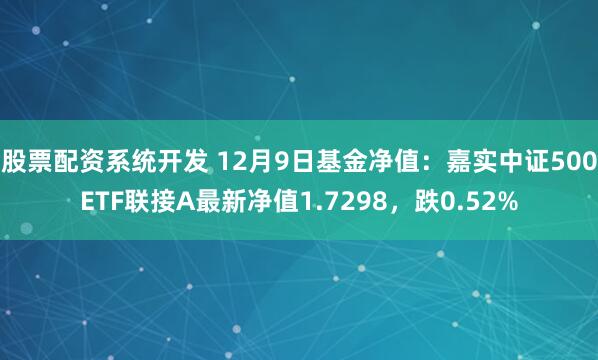 股票配资系统开发 12月9日基金净值：嘉实中证500ETF联接A最新净值1.7298，跌0.52%