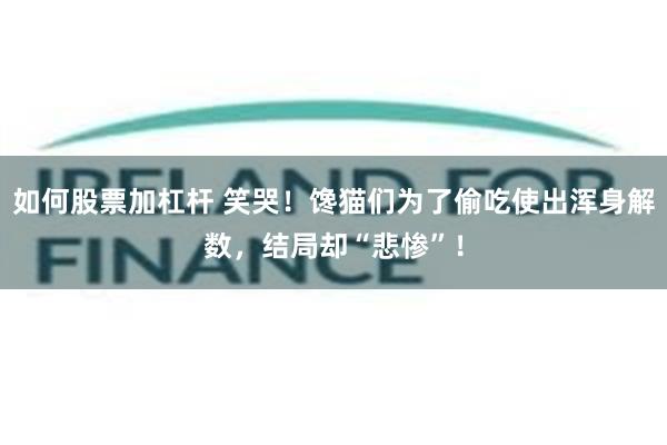 如何股票加杠杆 笑哭！馋猫们为了偷吃使出浑身解数，结局却“悲惨”！