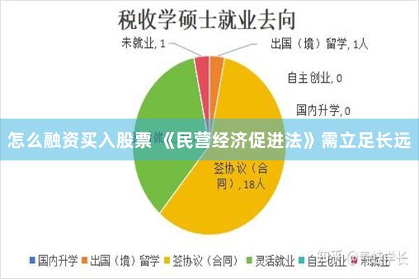 怎么融资买入股票 《民营经济促进法》需立足长远