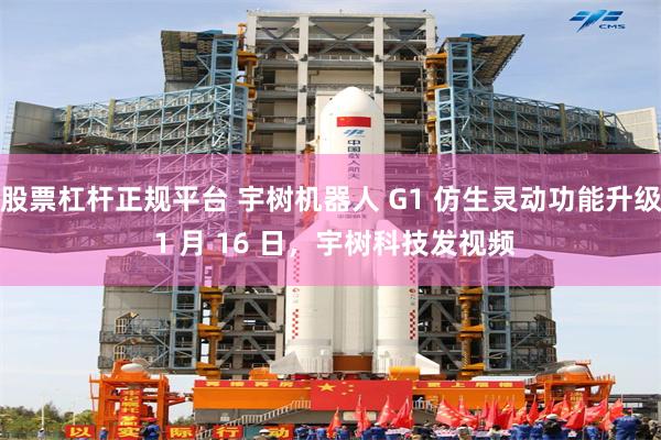 股票杠杆正规平台 宇树机器人 G1 仿生灵动功能升级 1 月 16 日，宇树科技发视频