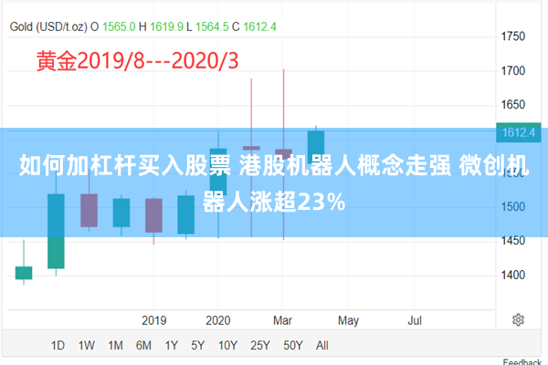 如何加杠杆买入股票 港股机器人概念走强 微创机器人涨超23%