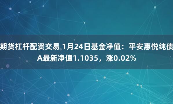 期货杠杆配资交易 1月24日基金净值：平安惠悦纯债A最新净值1.1035，涨0.02%