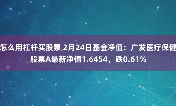 怎么用杠杆买股票 2月24日基金净值：广发医疗保健股票A最新净值1.6454，跌0.61%